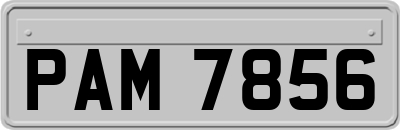 PAM7856