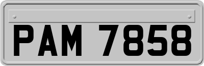 PAM7858
