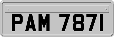 PAM7871