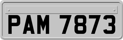 PAM7873