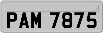 PAM7875