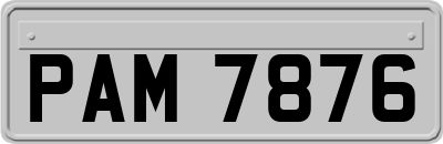 PAM7876