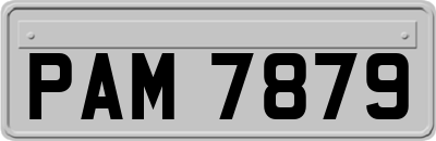 PAM7879