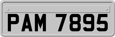 PAM7895