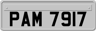 PAM7917