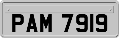PAM7919