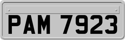 PAM7923