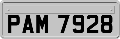 PAM7928