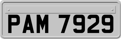 PAM7929
