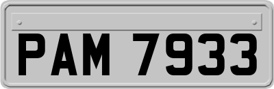 PAM7933