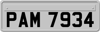 PAM7934