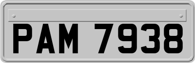 PAM7938
