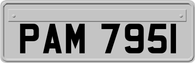 PAM7951