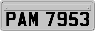 PAM7953