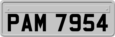 PAM7954