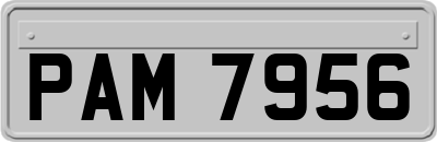 PAM7956