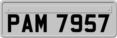 PAM7957