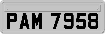 PAM7958