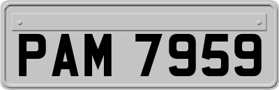 PAM7959