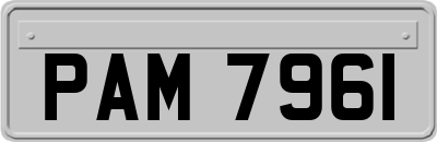 PAM7961