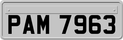 PAM7963