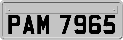 PAM7965