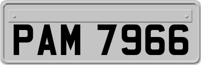 PAM7966
