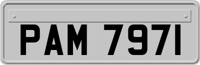 PAM7971