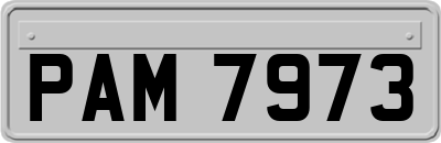 PAM7973