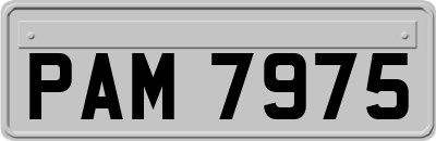 PAM7975