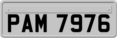 PAM7976