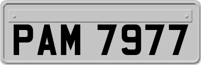 PAM7977