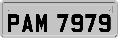 PAM7979
