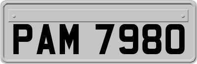 PAM7980