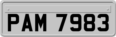 PAM7983