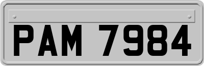 PAM7984