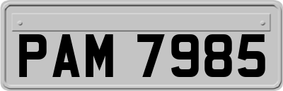 PAM7985