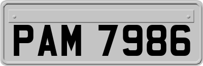 PAM7986