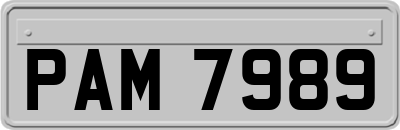 PAM7989
