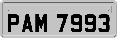 PAM7993