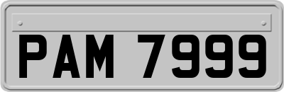 PAM7999
