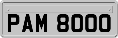 PAM8000