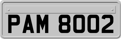 PAM8002
