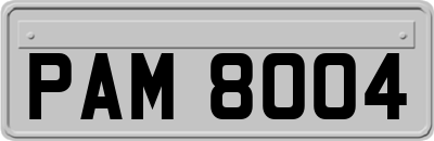 PAM8004