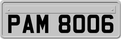 PAM8006