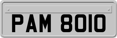PAM8010