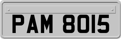 PAM8015
