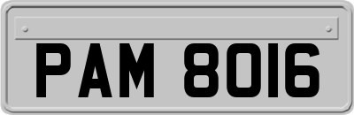 PAM8016