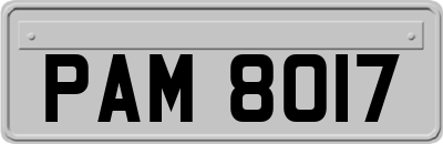 PAM8017