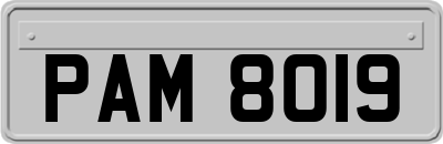 PAM8019